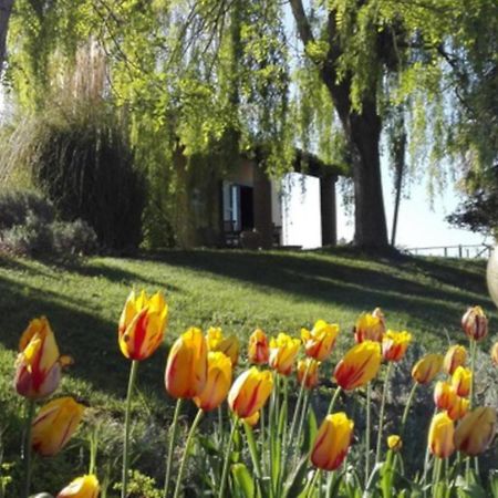 Agriturismo Quartopodere Magliano in Toscana Luaran gambar