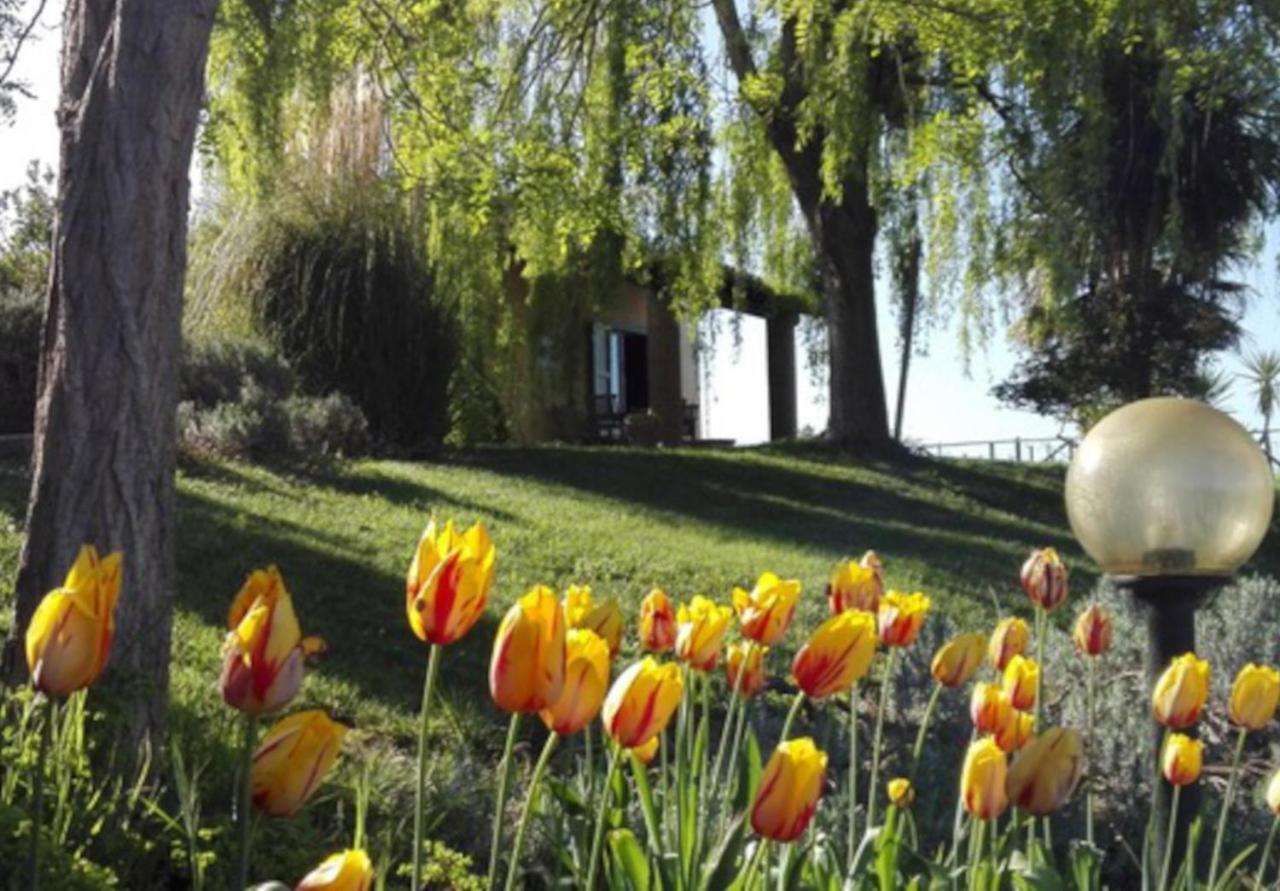 Agriturismo Quartopodere Magliano in Toscana Luaran gambar