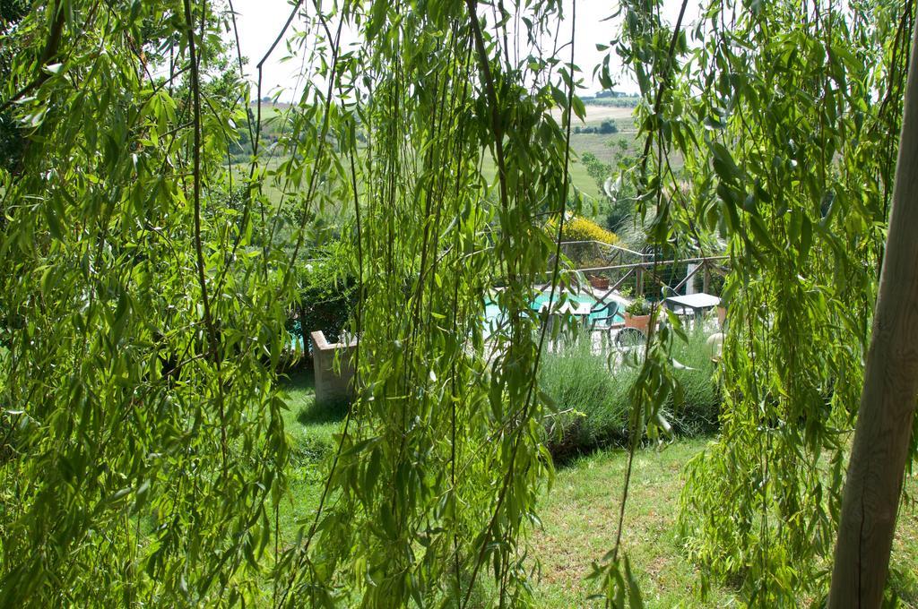 Agriturismo Quartopodere Magliano in Toscana Luaran gambar