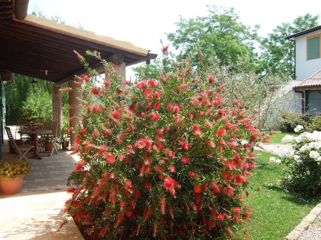 Agriturismo Quartopodere Magliano in Toscana Luaran gambar